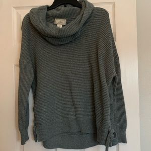 Green cowl neck sweater.